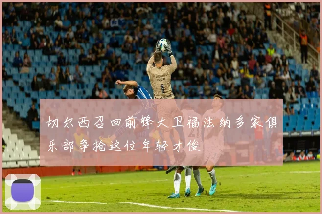 切尔西召回前锋大卫福法纳多家俱乐部争抢这位年轻才俊