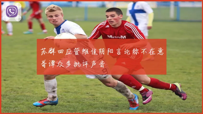 苏群回应管维佳阴阳言论称不在意哥谭众多批评声音