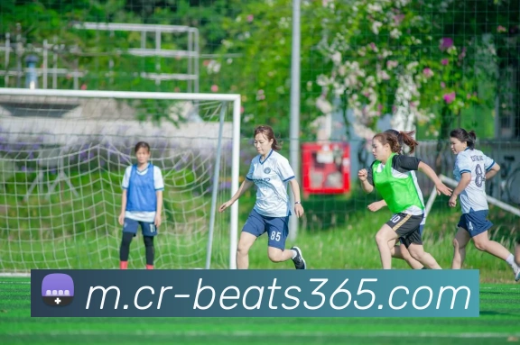 App Interface Preview